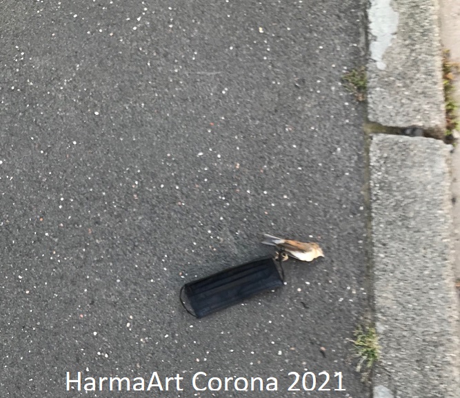 HarmaArt Corona 2021 117